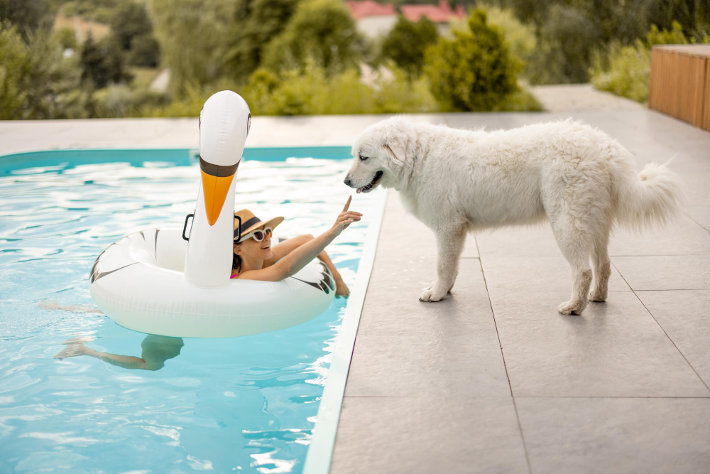 Essential Tips to Keep Your Pet Safe Around the Swimming Pool