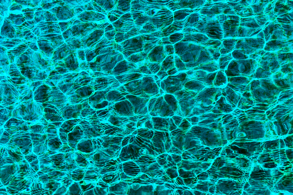 Black Algae in Your Pool? Here's How You Can Rid Your Pool of Them
