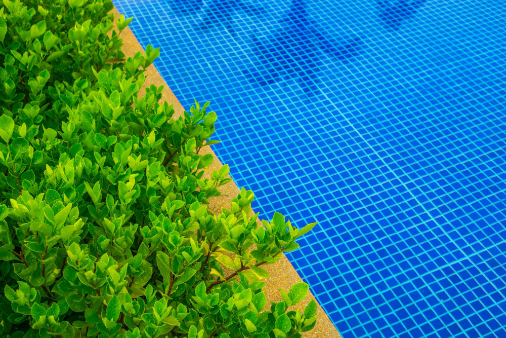 Your Complete Guide to Choosing the Right Pool Pump