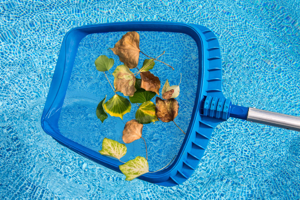 Essential Tips for Keeping Your Pool Clean Between Service Visits